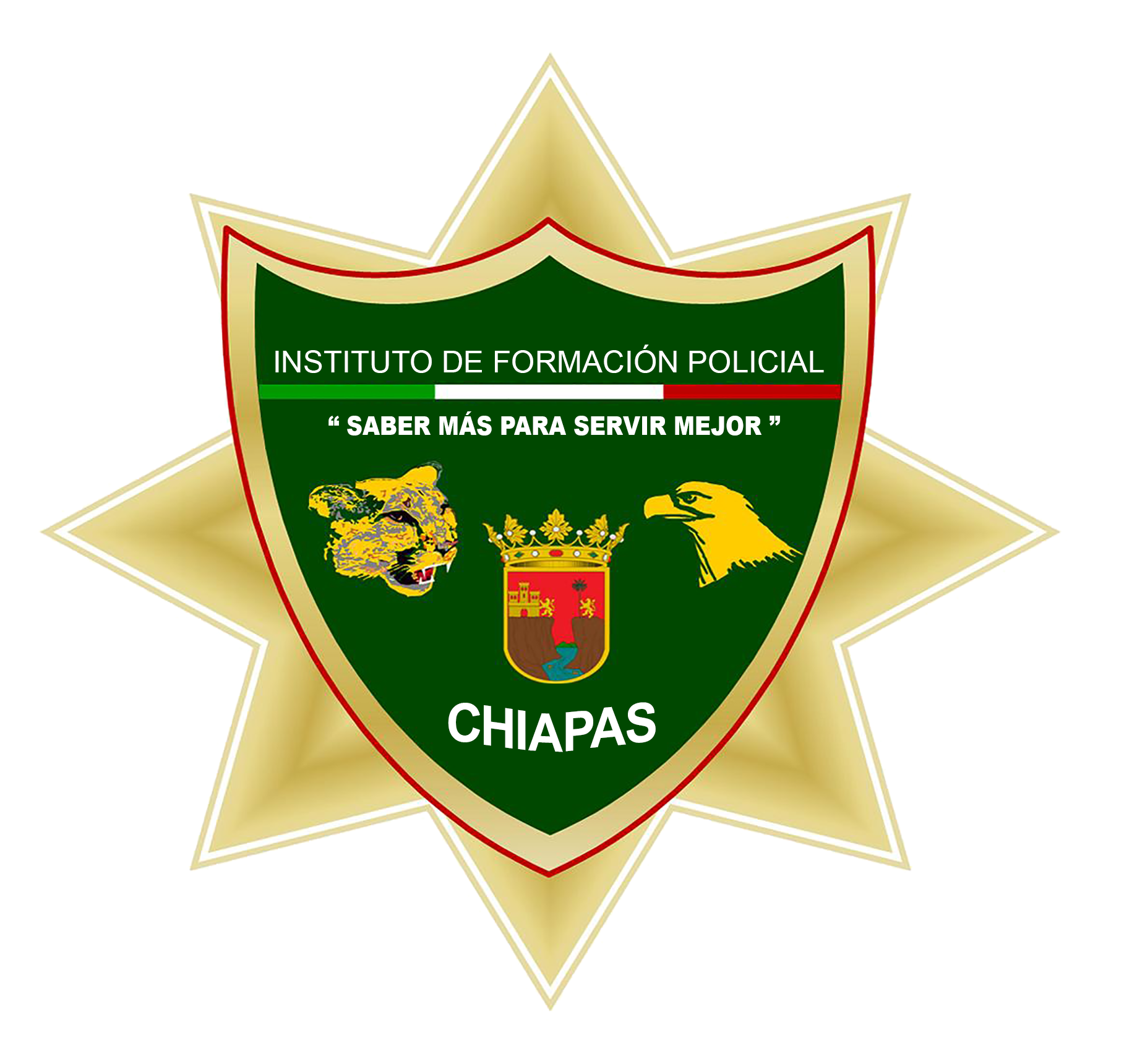 IFP Chiapas Digital